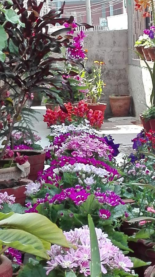 Hotel Buttercup Pokhara Eksteriør bilde