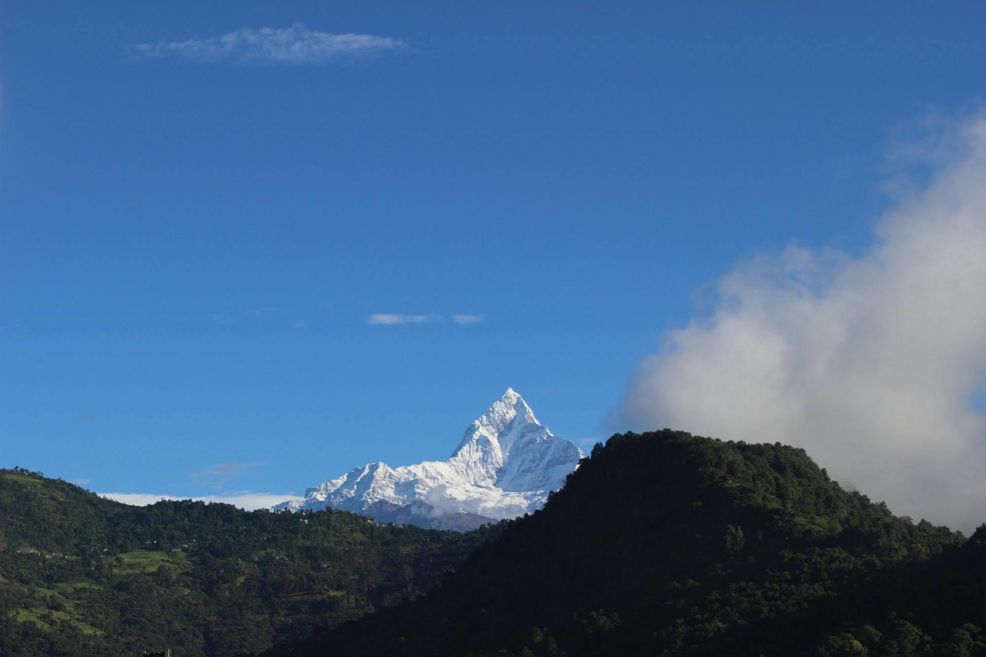 Hotel Buttercup Pokhara Eksteriør bilde